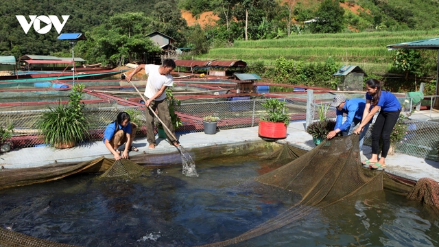 Thanh niên Lai Châu khởi nghiệp từ mô hình hợp tác xã