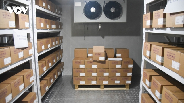 Thủ tướng quyết định bổ sung kinh phí mua vaccine phòng COVID-19