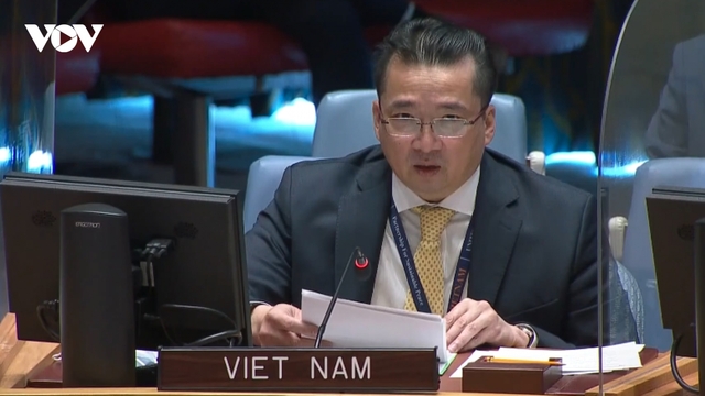 Hội đồng Bảo an thảo luận tình hình tại Cộng hòa Trung Phi và tình hình nhân đạo Syria