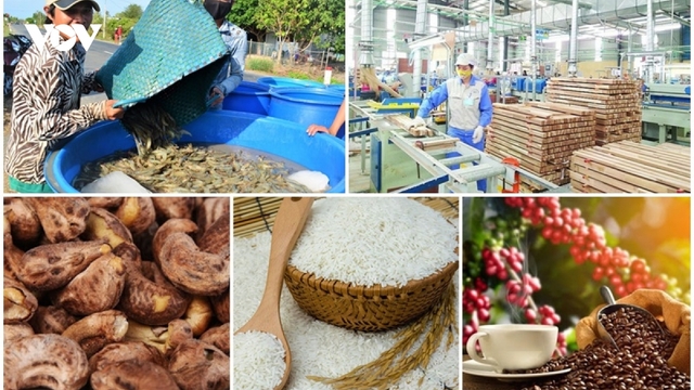 Phòng vệ thương mại kịp thời bảo vệ lợi ích chính đáng cho nhiều doanh nghiệp