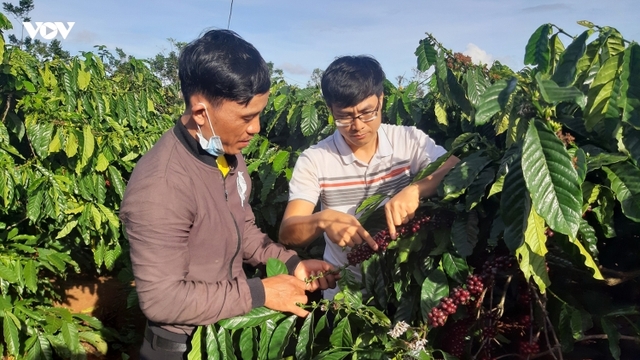Gia Lai đạt tăng trưởng kinh tế tới 9,7%