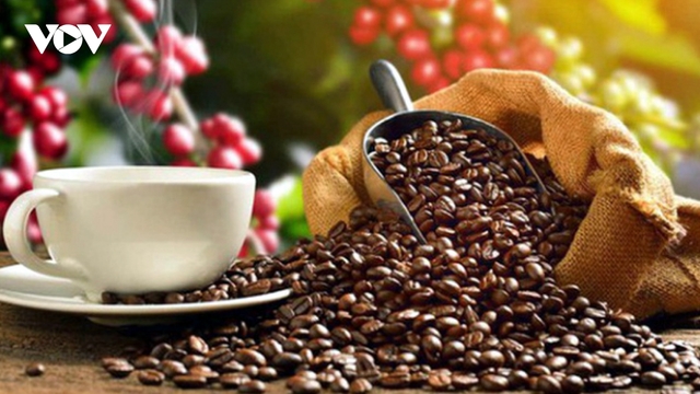 Giá cà phê hôm nay 3/10: Giá cà phê trong nước cao nhất 117.900 đồng/kg