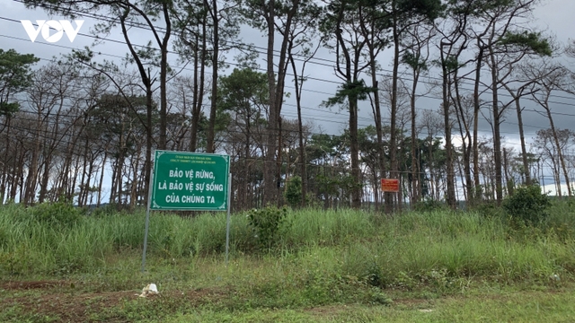 Niềm hy vọng, mong mỏi của địa phương, doanh nghiệp