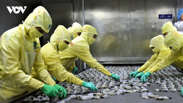 Cà Mau hỗ trợ tiền thuê nhà cho hơn 2.600 trường hợp