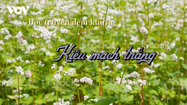 Truyện ngắn "Kiều mạch trắng" - Khát vọng vươn lên của thanh niên miền núi