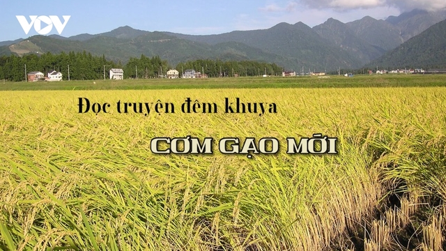 Truyện ngắn "Cơm gạo mới" - Đong đầy nỗi nhớ ruộng đồng