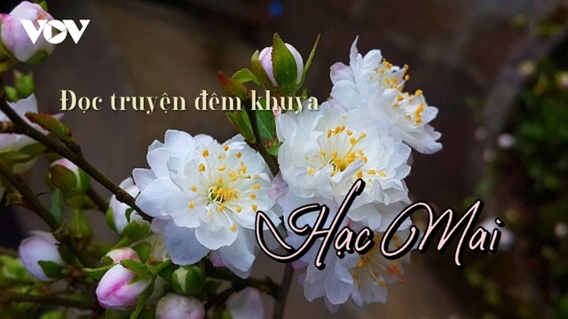 Truyện ngắn "Hạc Mai" - Mộng tưởng và hiện thực