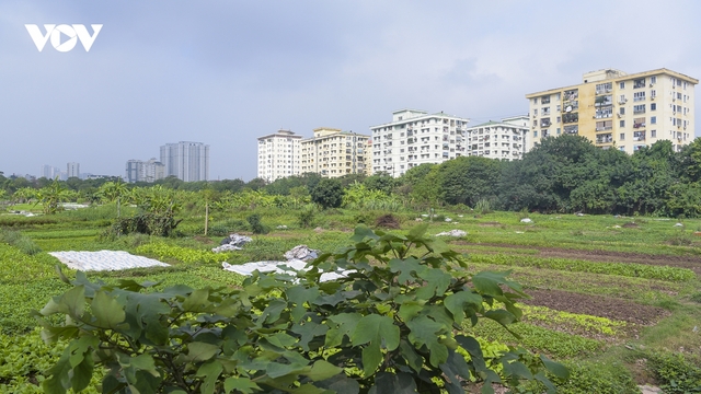Cận cảnh dự án nghìn tỷ bỏ hoang được người dân tận dụng trồng rau và đổ rác thải