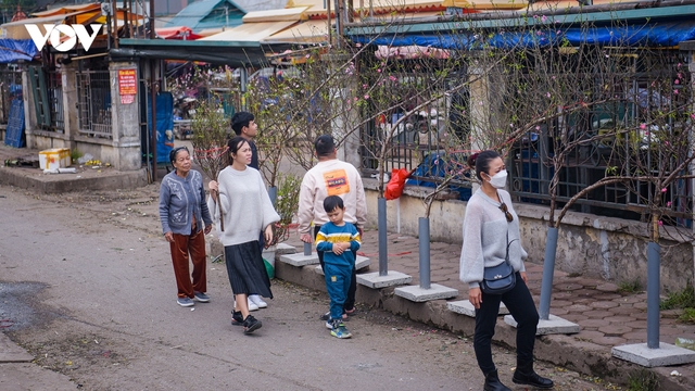 Người dân Hà Nội xuống phố mua hoa đào, hoa lê chơi Tết sớm