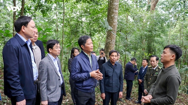 Quảng Ninh cần kết hợp phát triển “rừng vàng” với “biển bạc”