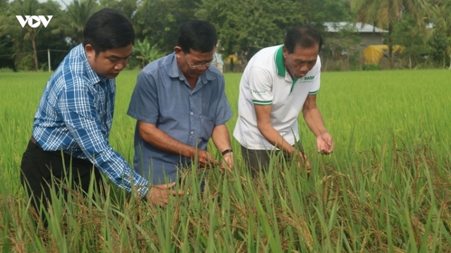 Đồng bào Khmer ở Sóc Trăng đoàn kết, giúp nhau phát triển kinh tế