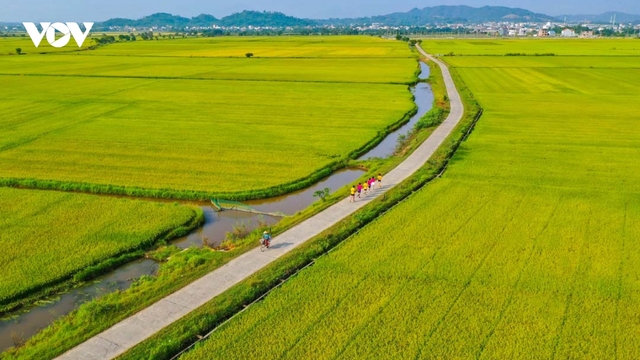 Huế - Thành phố của những cung đường chạy đẹp nhất