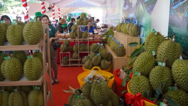 Durian exports witness steep rise over five-month period