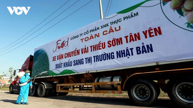 Xuất khẩu vào thị trường Nhật Bản: Doanh nghiệp cần chuẩn bị kỹ lưỡng và dài hạn
