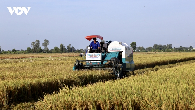 Ổn định thị trường sản xuất lúa gạo vùng Đồng bằng sông Cửu Long