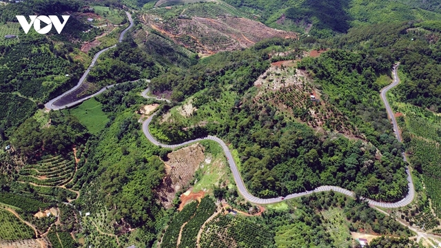 Nhiều tuyến đường tại Đắk Nông sạt lở, sụt lún nghiêm trọng