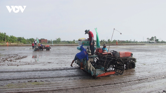 Long An chủ động triển khai sớm 33 mô hình lúa chất lượng cao, phát thải thấp