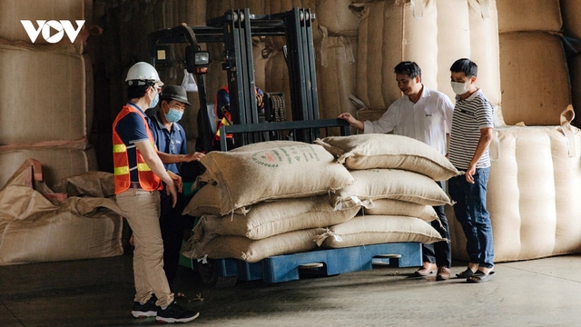 Giá cà phê hôm nay 7/8: Cà phê trong nước tiếp đà tăng, lên mức 99.000 đồng/kg