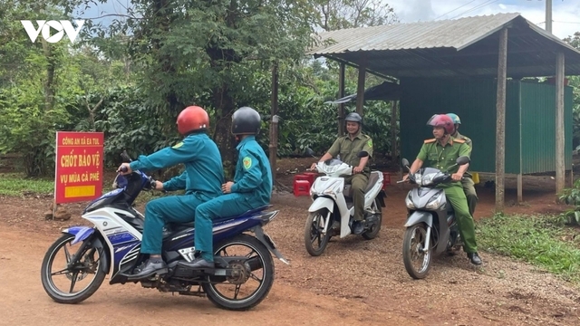 Công an xã được tuần tra, xử lý trên các tuyến đường nào và những lỗi gì?