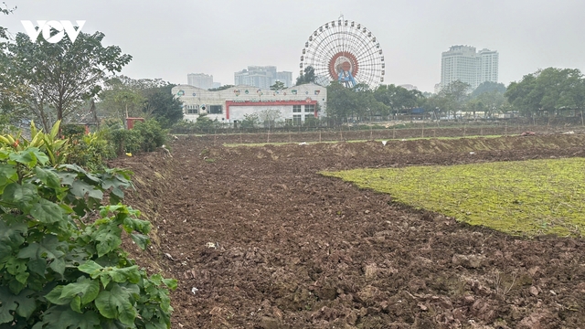 Đầm Sen vạn người mê được đề xuất làm hồ lắng bổ cập nước sông Hồng vào Hồ Tây