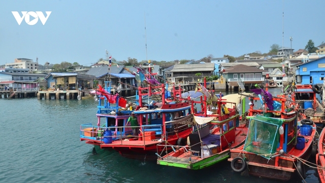 Thái Lan bảo tồn ghẹ xanh, cải thiện sinh kế cho người dân ở đảo Koh Si-chang