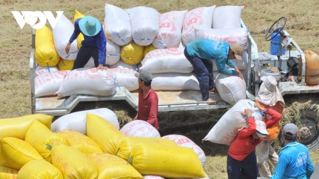 Xuất khẩu cám gạo sang Trung Quốc: Cơ hội của ngành phụ phẩm lúa gạo