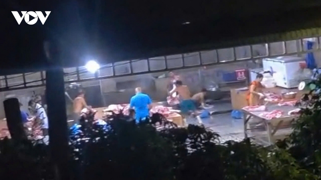 Tiền Giang xử phạt 2 lò mổ heo “lậu” sau khi VOV phản ánh