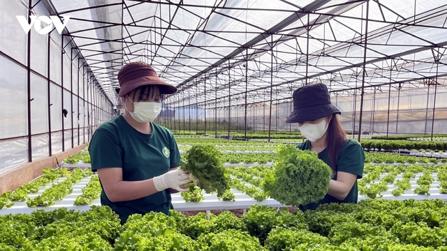 Thực hiện quy định EPR, doanh nghiệp giảm tiêu hao năng lượng đến 20% - 30%