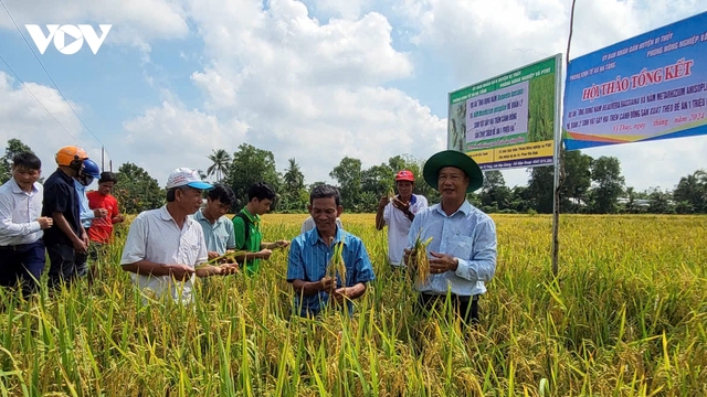 Đề án 1 triệu ha chuyên canh lúa ĐBSCL tăng lợi nhuận từ 4-7,6 triệu đồng/ha