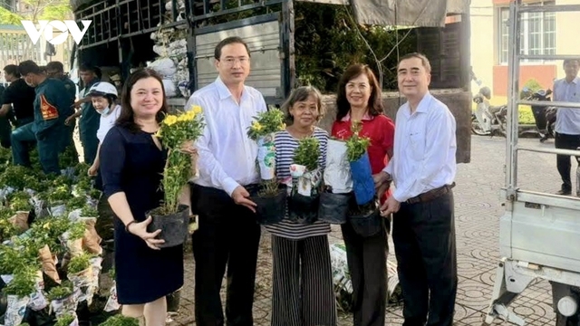 Bí thư phường Vũng Tàu bỏ tiền túi mua hoa từ Đồng Tháp về trồng ở khu phố