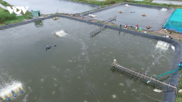 Kinh tế tư nhân, bệ phóng thực hiện khát vọng tăng trưởng hai con số