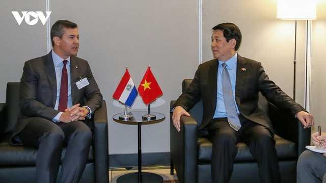 Chủ tịch nước Lương Cường gặp Tổng thống Paraguay Santiago Peña Palacios