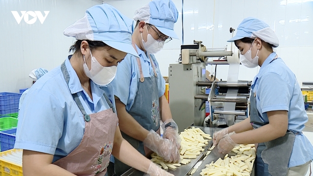 Để hộ kinh doanh lớn dần thành doanh nghiệp