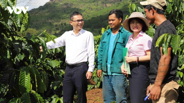 Tín dụng chính sách, “đòn bẩy” thoát nghèo của người dân Gia Lai