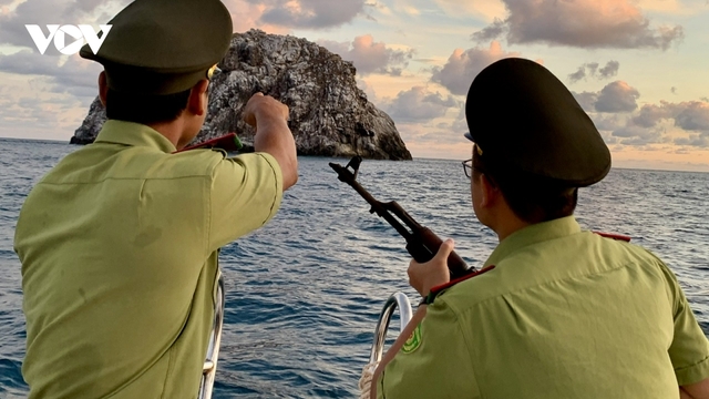 Không còn kiểm lâm, hệ sinh thái rừng- biển ở Côn Đảo có nguy cơ bị xâm hại