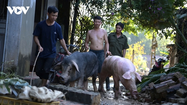 Người dân Thái Nguyên tất bật khôi phục cuộc sống thường ngày sau khi lũ rút