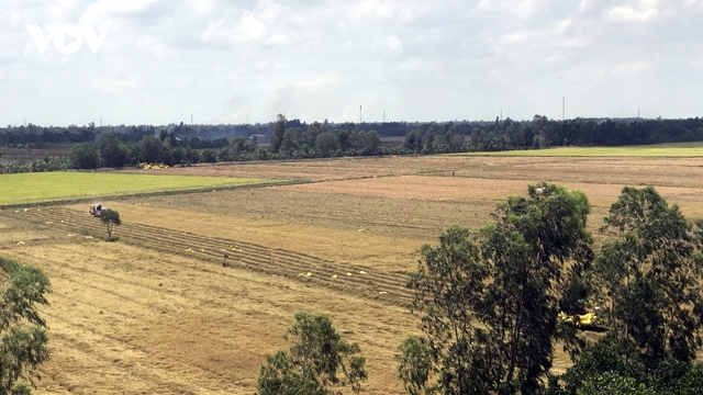 “Sợi rơm - sợi vàng”: Tài nguyên hữu ích trên ruộng đồng Miền Tây