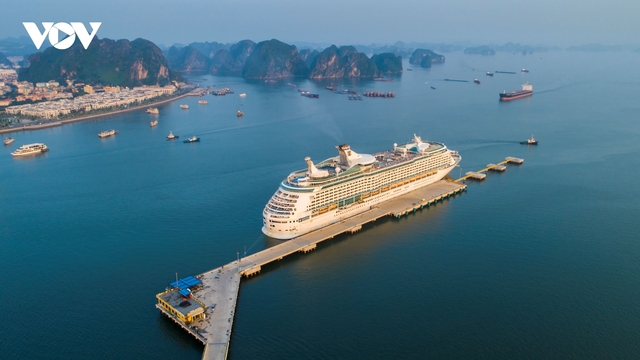 Nhộn nhịp mùa du lịch tàu biển ở Quảng Ninh