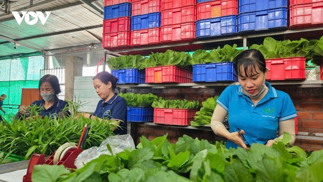 Nông nghiệp đô thị cần mang lại lợi ích cụ thể cho cộng đồng