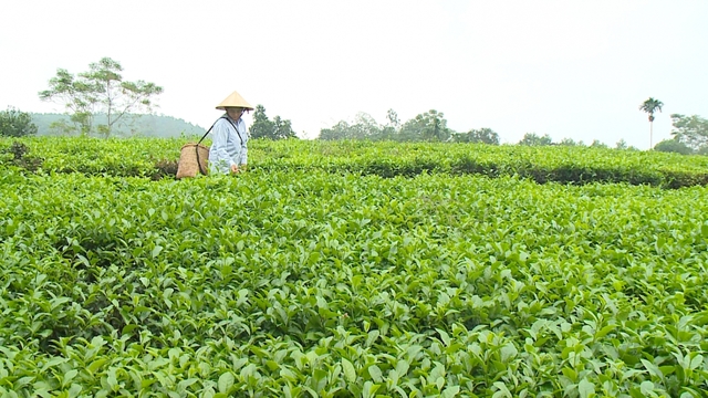 Gỡ rào cản trong nông nghiệp tuần hoàn