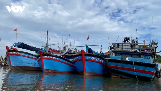 549 tàu cá của phường ven biển TPHCM tìm nơi trú ẩn tránh bão Kalmaegi