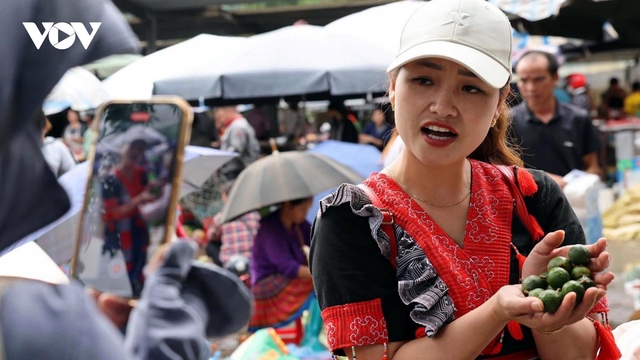 Lai Châu tổ chức Ngày hội quảng bá nông sản và kết nối giao thương cấp quốc gia