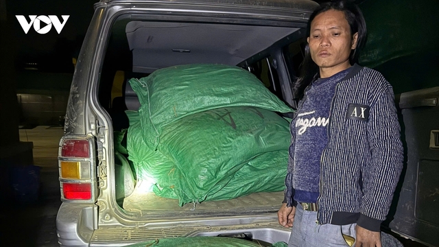 Cao Bằng liên tiếp bắt giữ khối lượng lớn cau khô không rõ nguồn gốc
