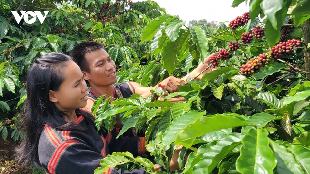 Người trẻ dân tộc thiểu số tại Gia Lai tự tin khởi nghiệp