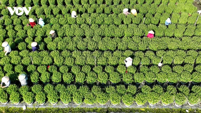 Nâng tầm nông sản từ "ngon - bổ - rẻ" thành quà tặng hạng sang