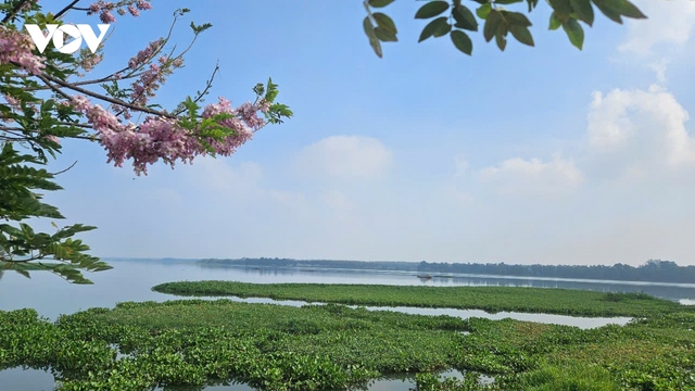 Hồ thủy lợi Tha La vào xuân