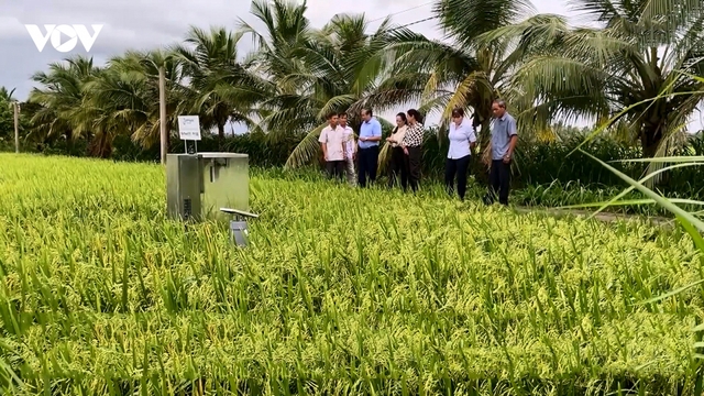 Số hóa nông nghiệp - con đường làm giàu từ ruộng vườn quê hương