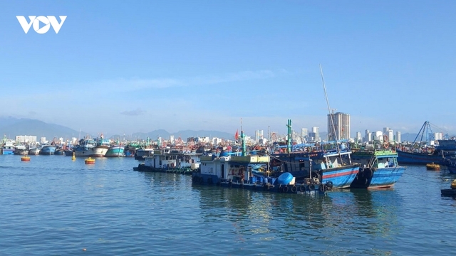 Vươn khơi đầu năm, ngư dân Khánh Hòa quyết tâm làm nghề đúng luật, chống IUU