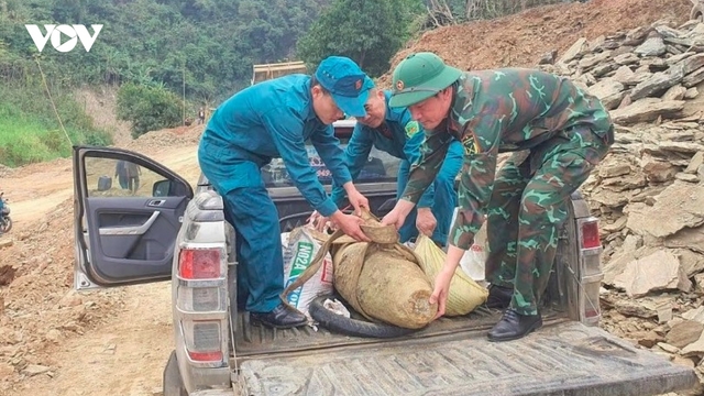 Unexploded 250kg wartime bomb safely detonated in Nghe An