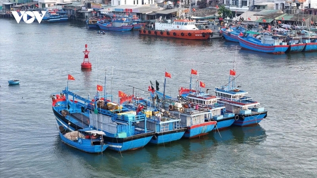 Những tàu cá rực rỡ sắc xuân tại bến cảng Tịnh Khê ngày cuối năm